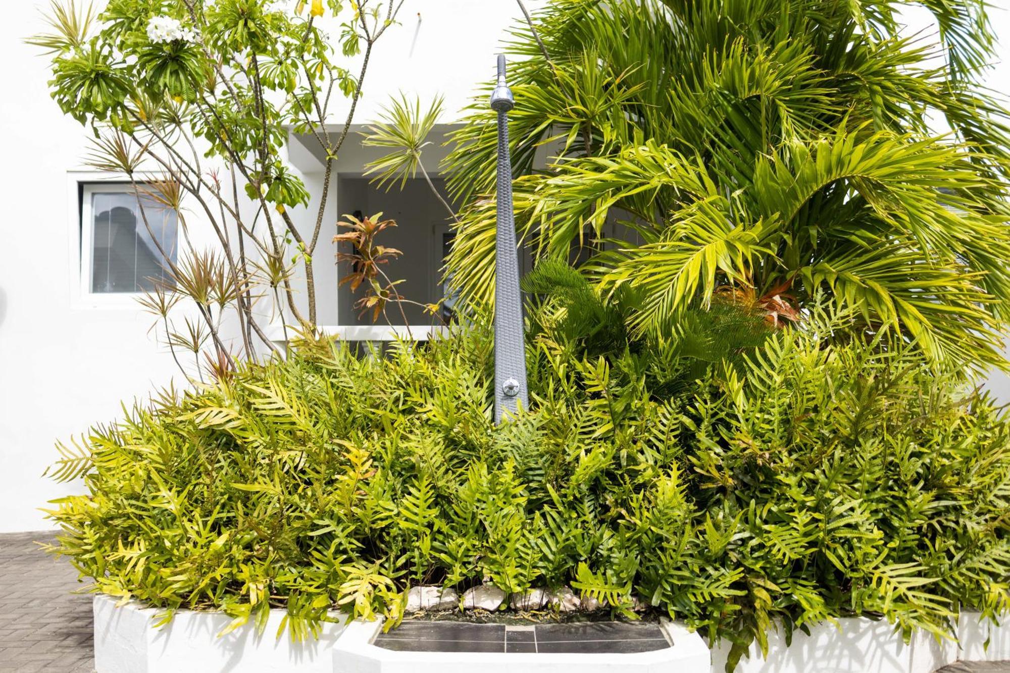 Apartamento Palm Crest Jan Thiel Exterior foto